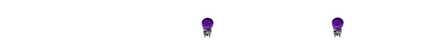 16 1_Bulks 2B_Purple5